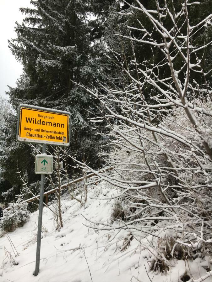 Haus Georgenhoehe Wildemann Exteriör bild