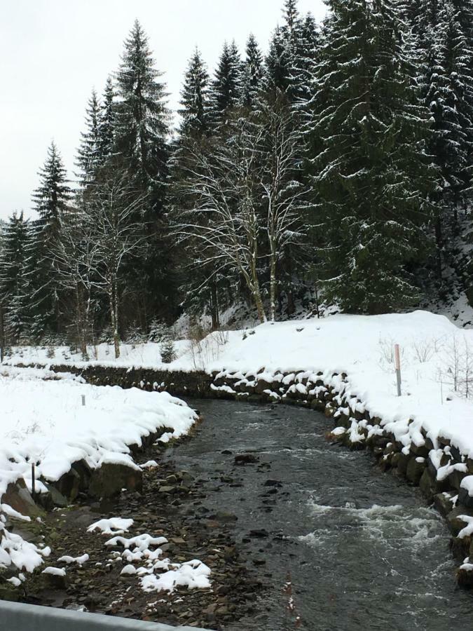 Haus Georgenhoehe Wildemann Exteriör bild